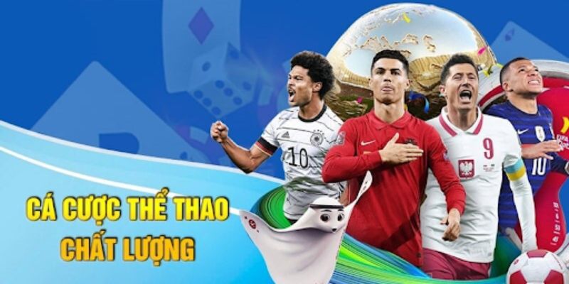 Trang cá độ bóng đá bong88 uy tín