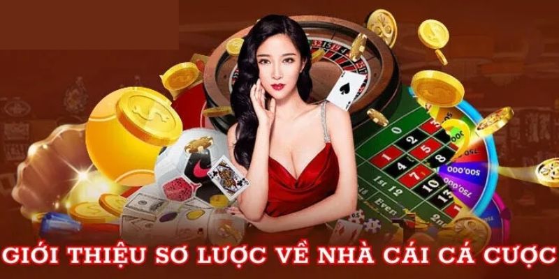 Sơ lược về nhà cái Debet