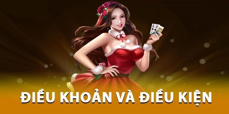Điều kiện điều khoản sử dụng
