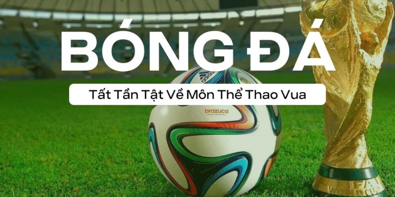 Giới thiệu chi tiết trang cá độ bóng đá uy tín