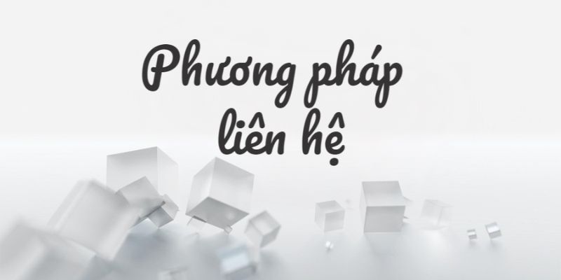 Liên hệ với các hình thức