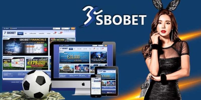 Lưu ý khi tham gia Sbobet